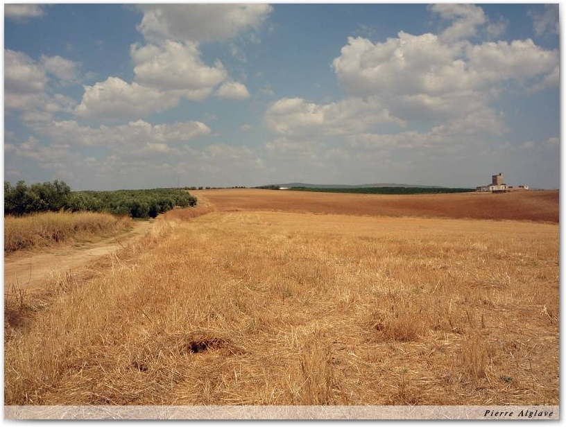 Le chemin