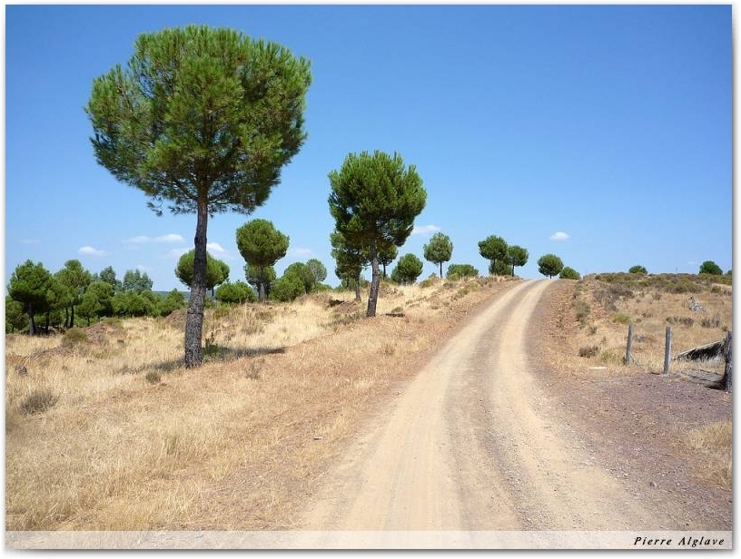 Parc forestier El Berrocal