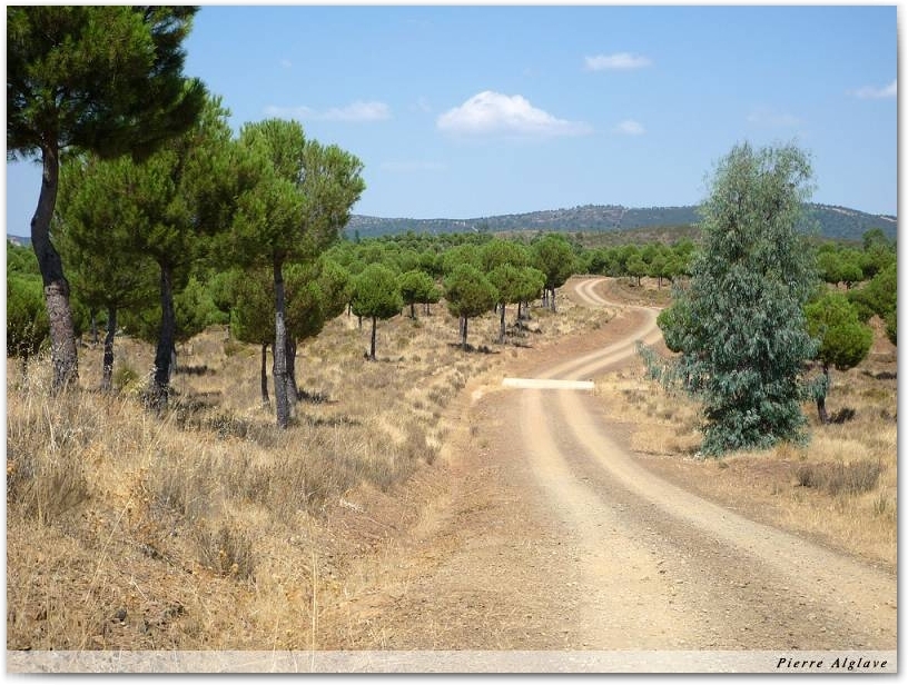 Parc forestier El Berrocal