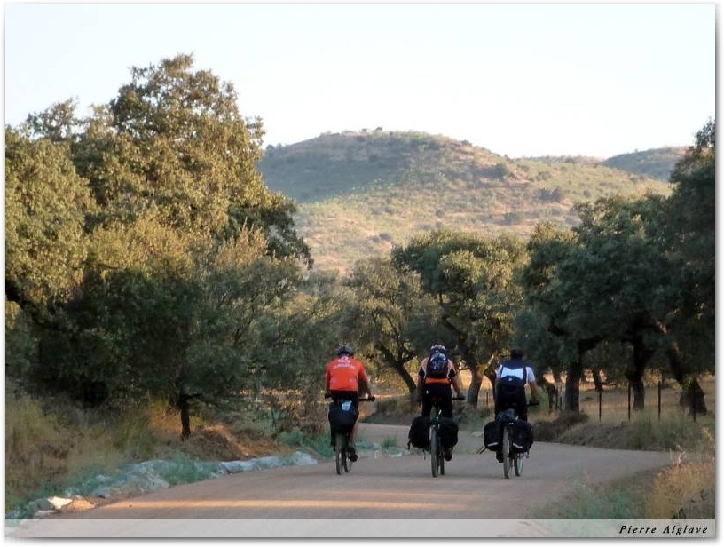 Compagnons cyclistes