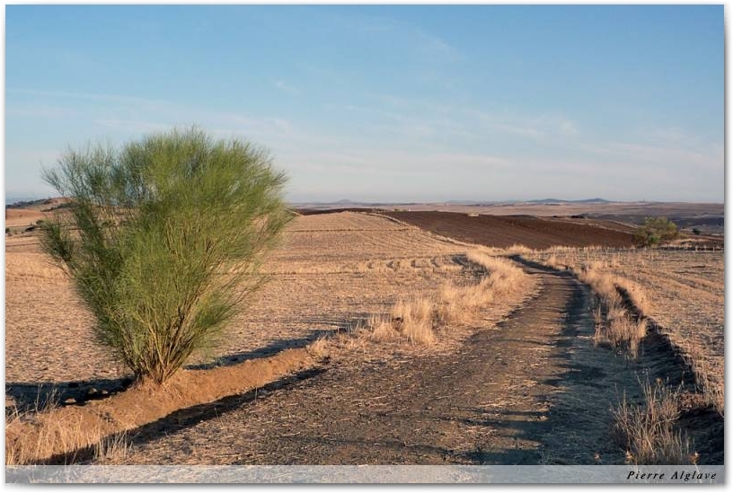 Le Chemin