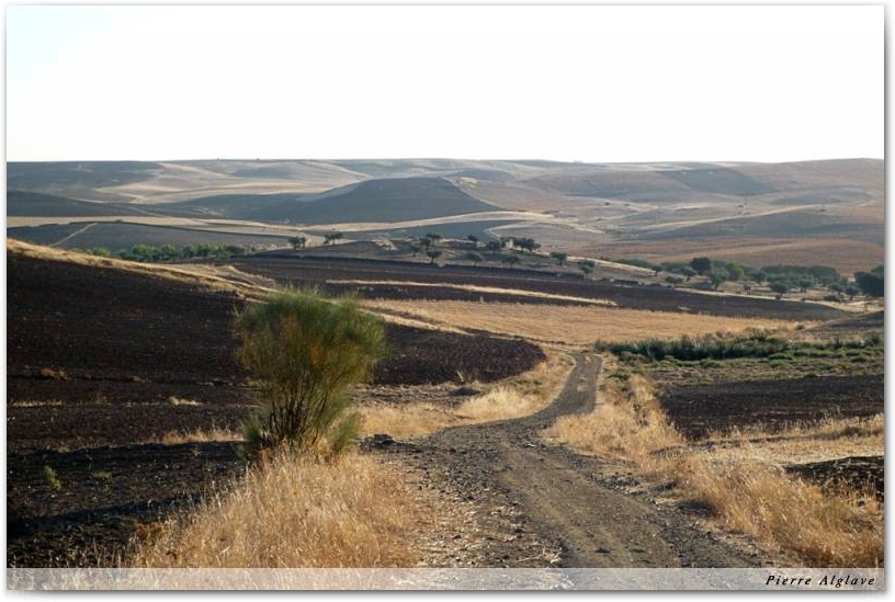 Le Chemin