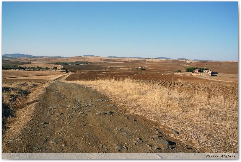 Le Chemin
