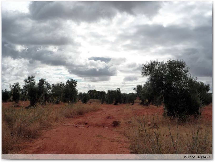 En chemin