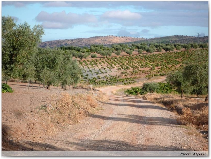 En chemin