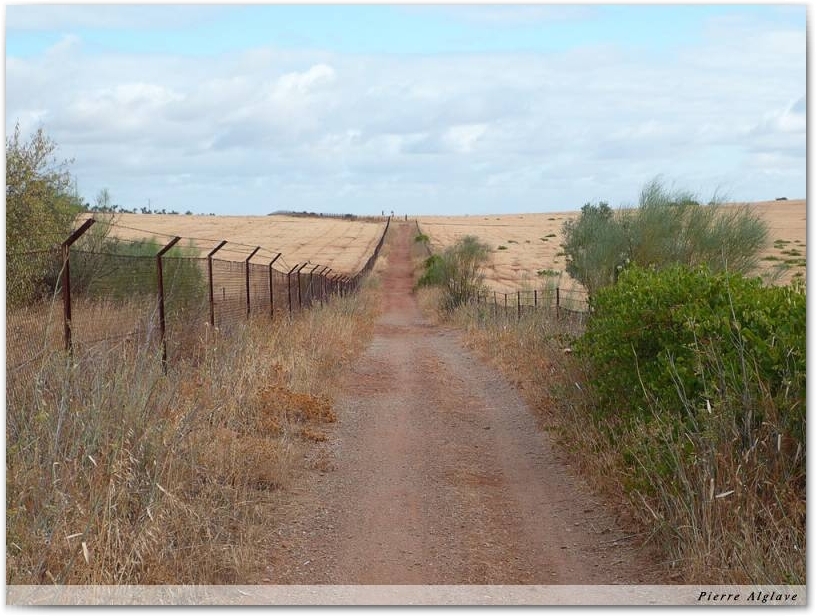 En chemin