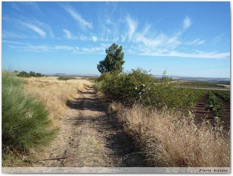 Le Chemin