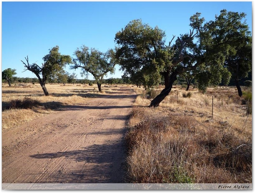 Le Chemin