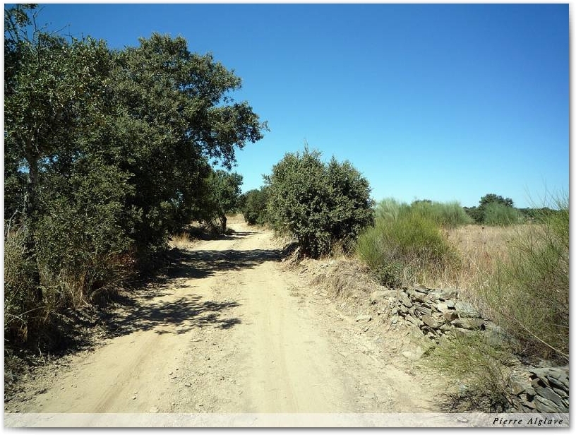 Le Chemin