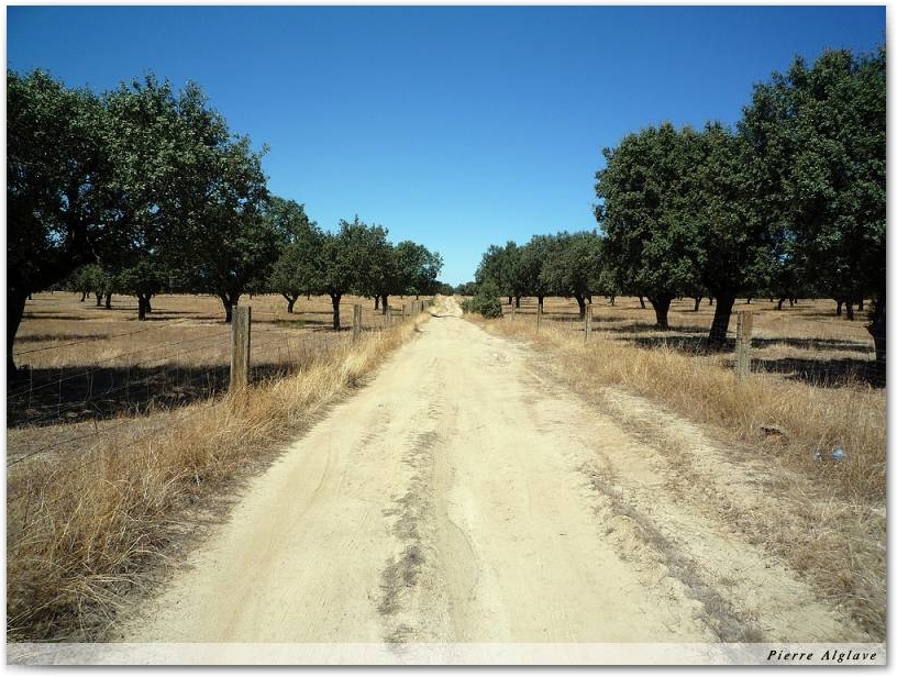 Le Chemin