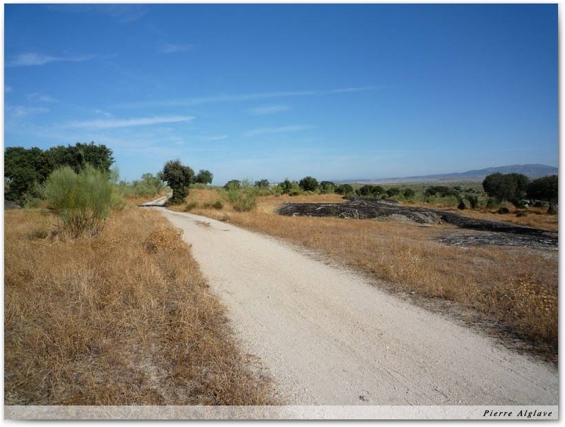 Le Chemin