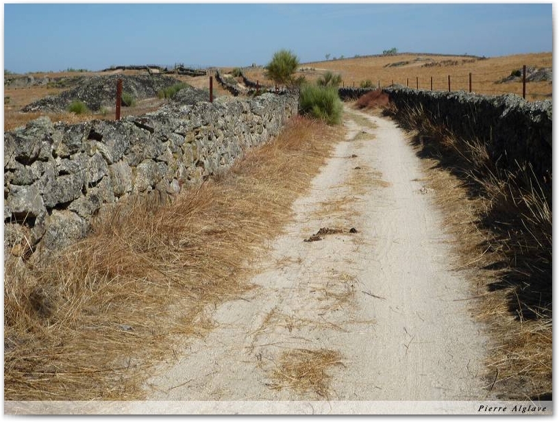 Le Chemin