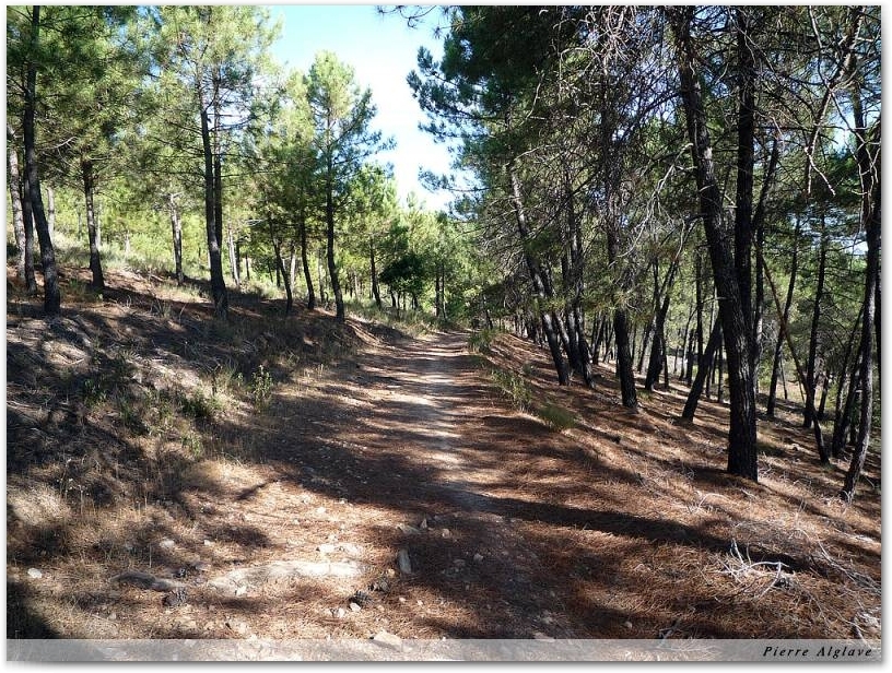 Le Chemin