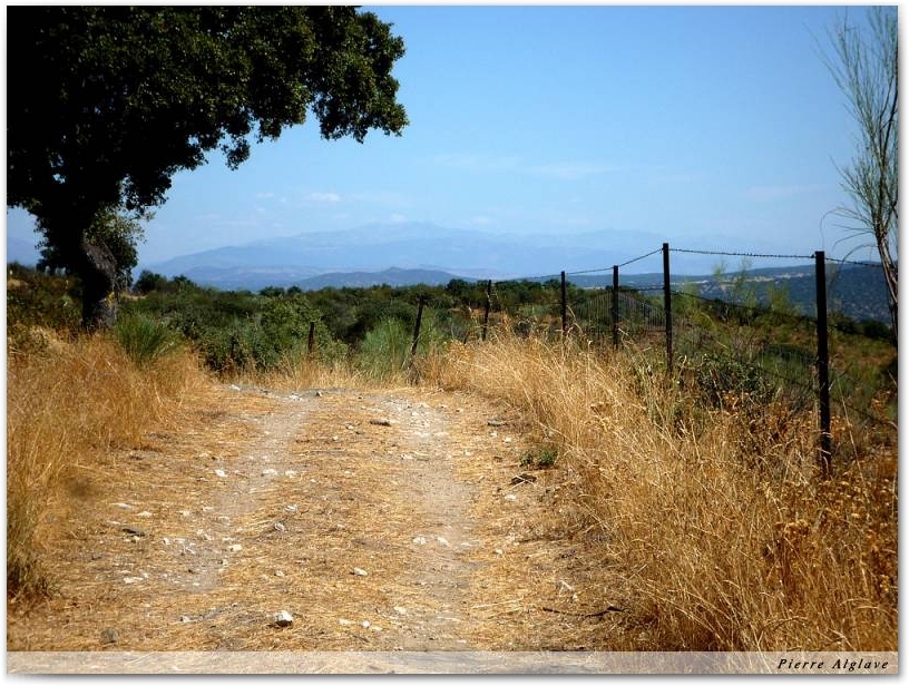 Le Chemin