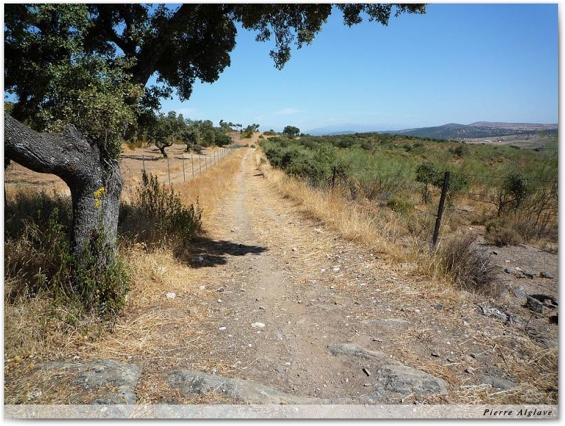 Le Chemin