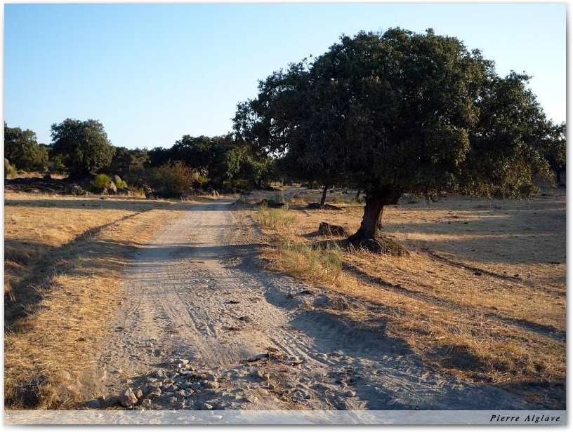 Le Chemin