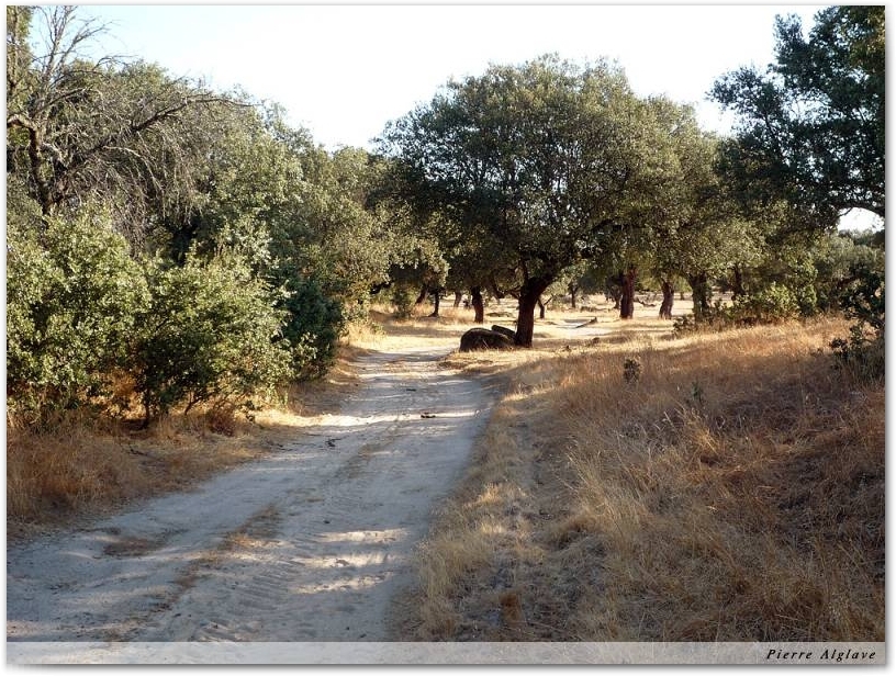Le Chemin