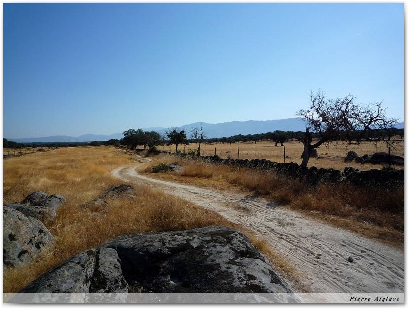 Le Chemin