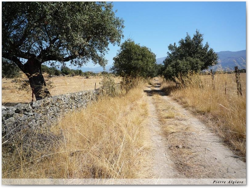 Le Chemin