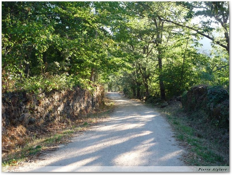 Le Chemin