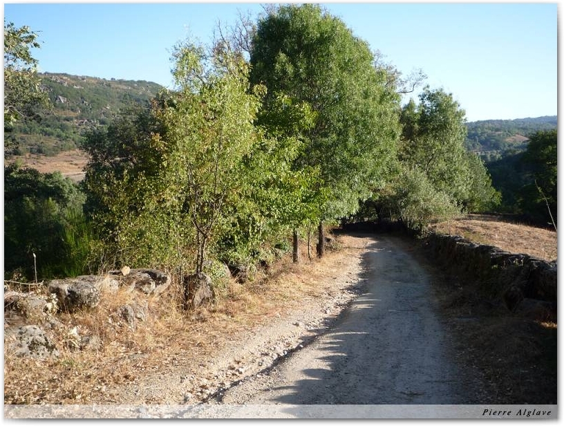 Le Chemin
