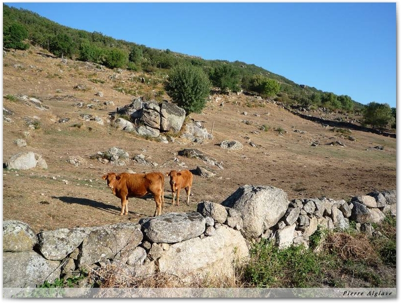 Paysage