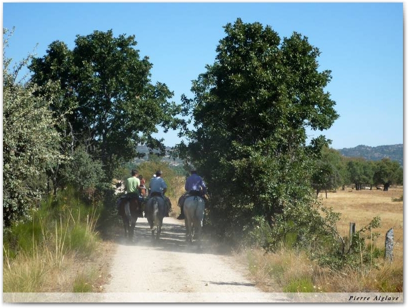Cavaliers sur le Chemin