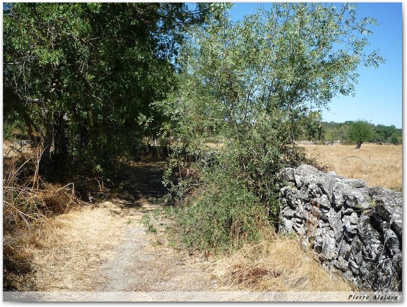 Le Chemin