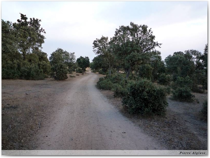 Le Chemin