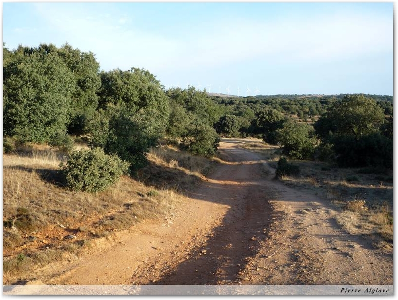 Le Chemin