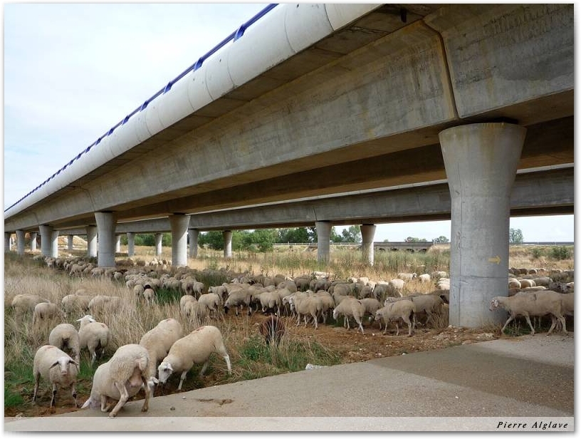 Bon, je vais dans l\'autre sens, je me sens moins \"mouton\"