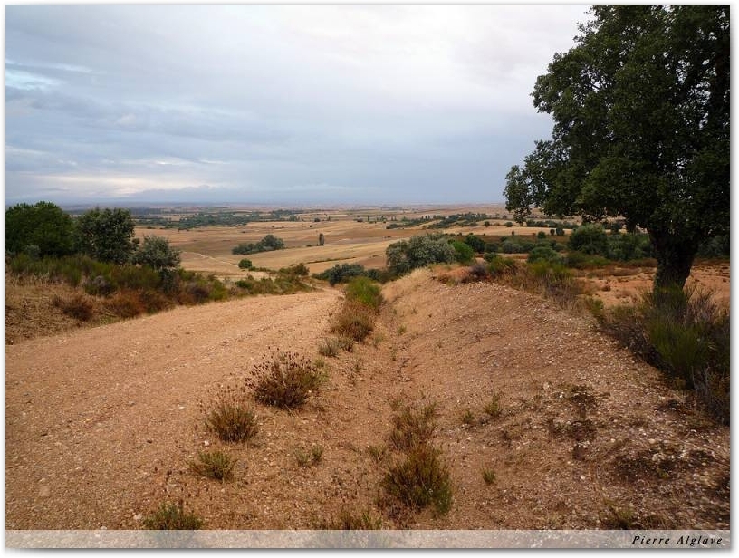 Le Chemin