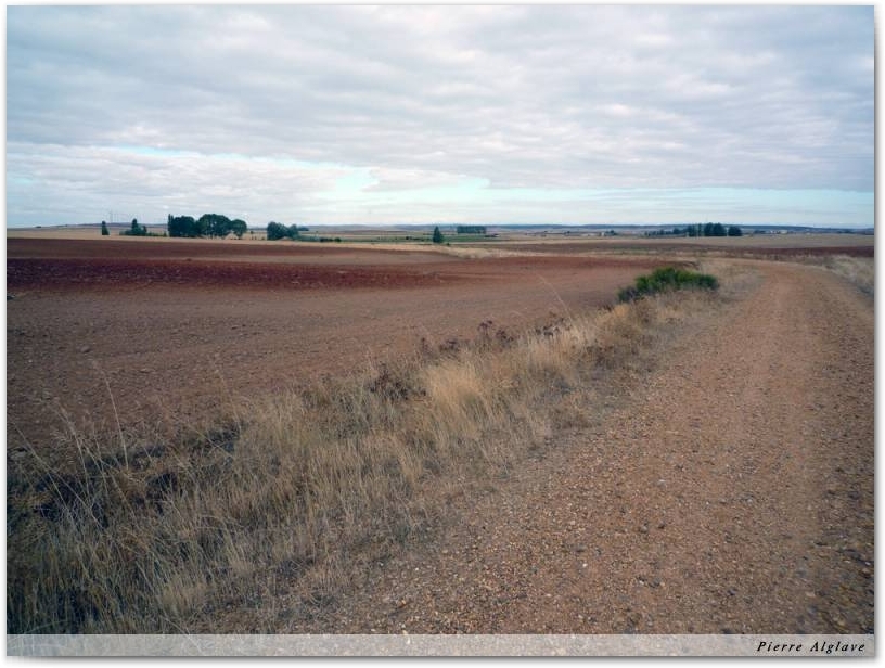 Le Chemin