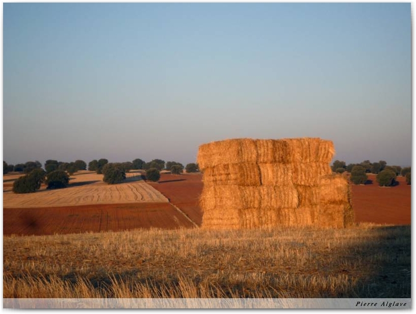Campagne au soleil levant
