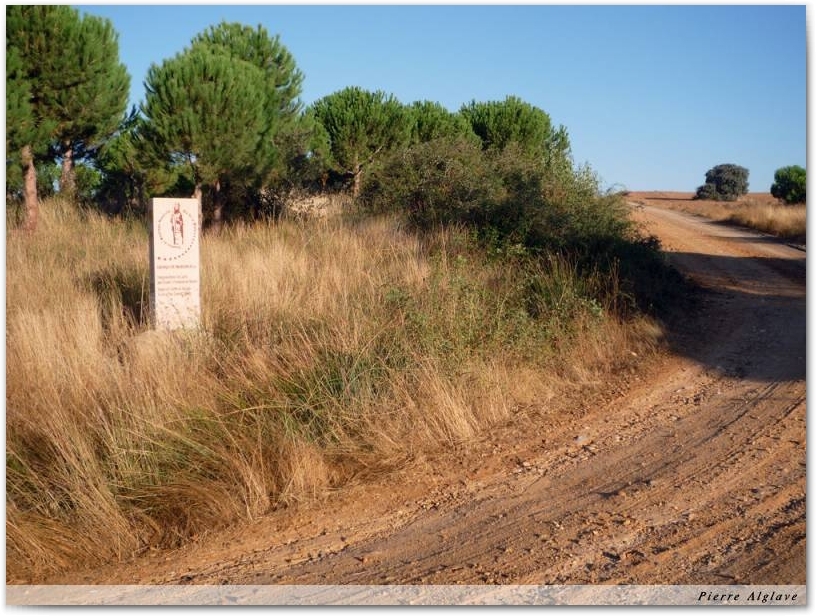 Borne de la \"ruta del Argar\"