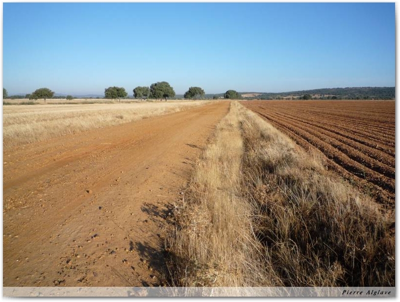 Le Chemin
