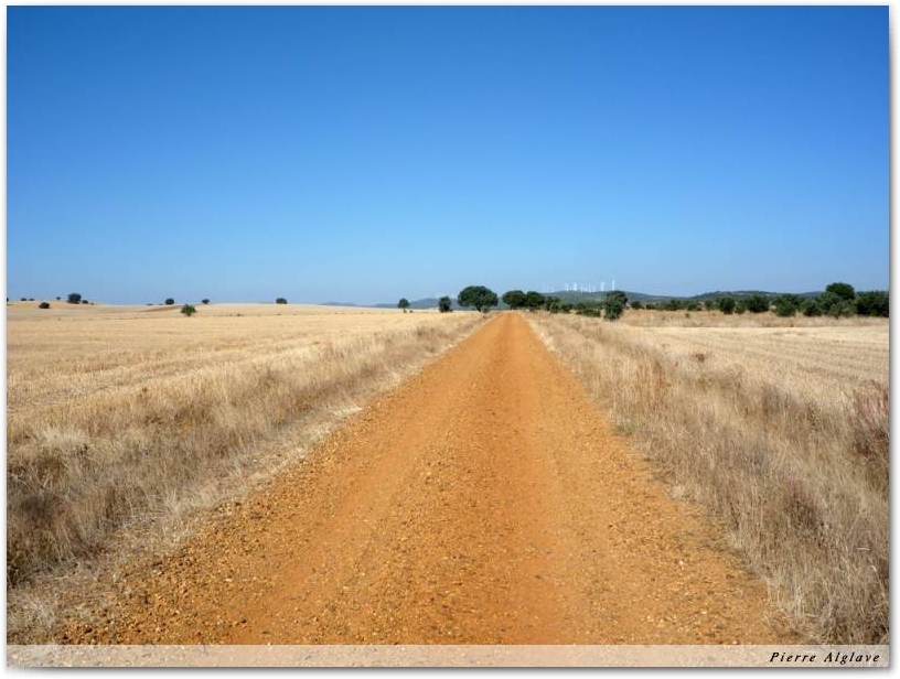 Le Chemin