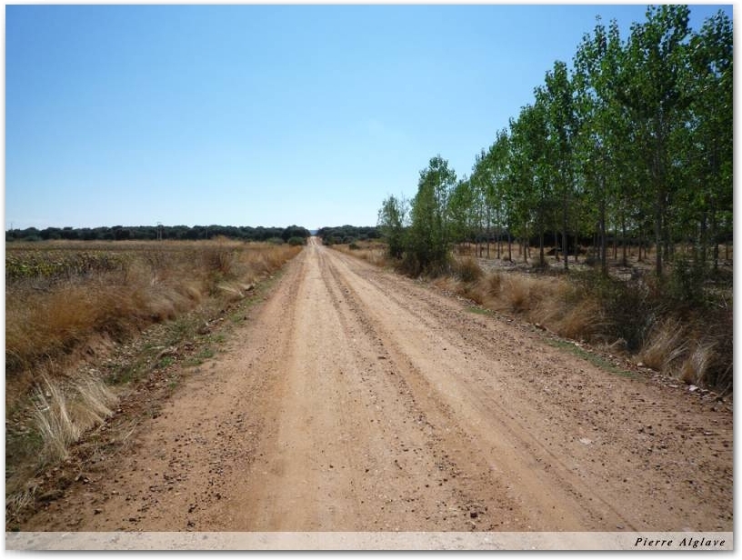 Le Chemin