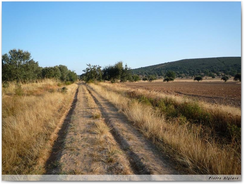 Le Chemin