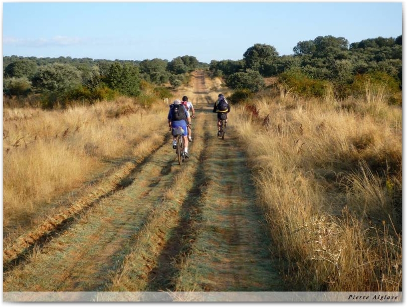 Compagnons cyclistes