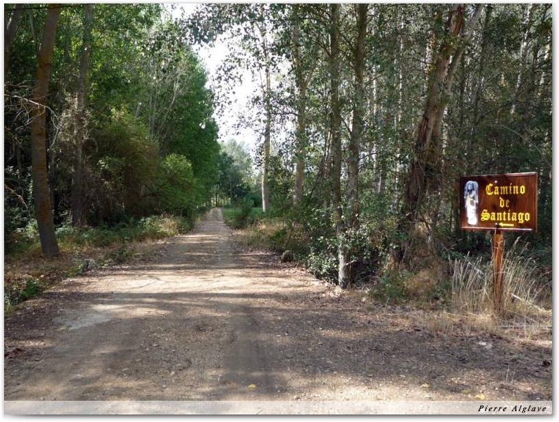 Le chemin au départ de Santa Marta de Tera