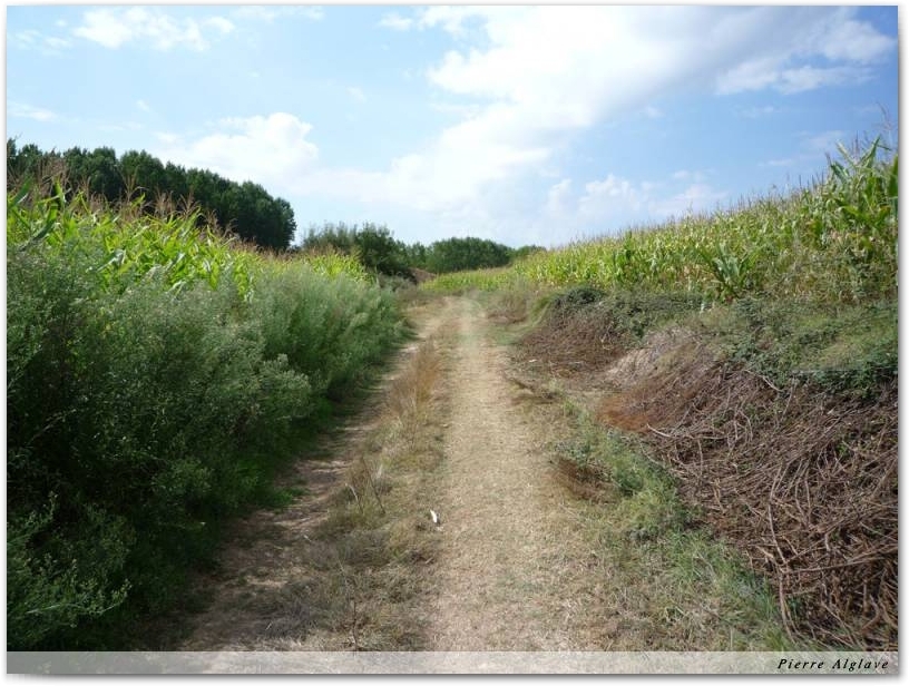 Le Chemin