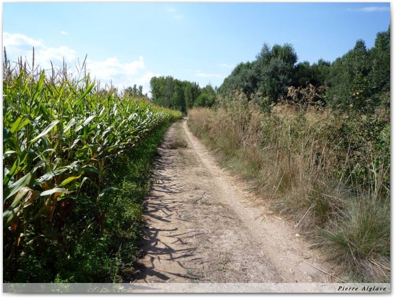 Le Chemin