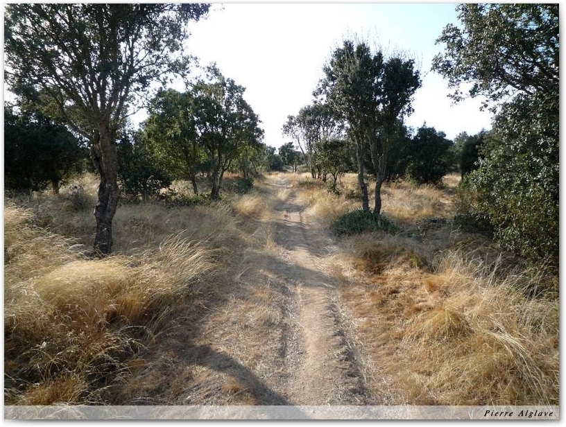 Le chemin avant Rionegro del Puente