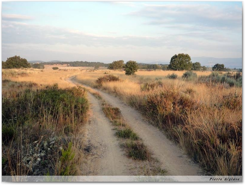 Le Chemin aux couleurs du matin