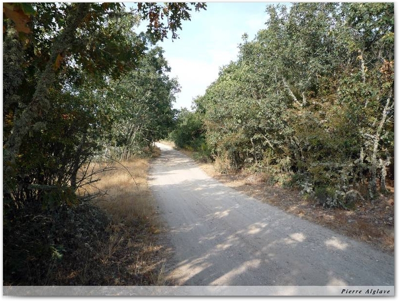 En Chemin