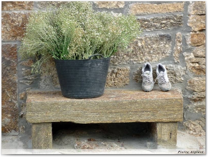 Petit banc