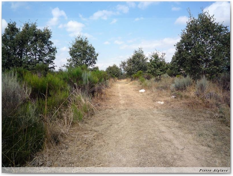 En Chemin