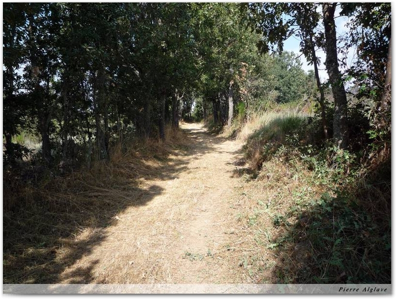 En Chemin