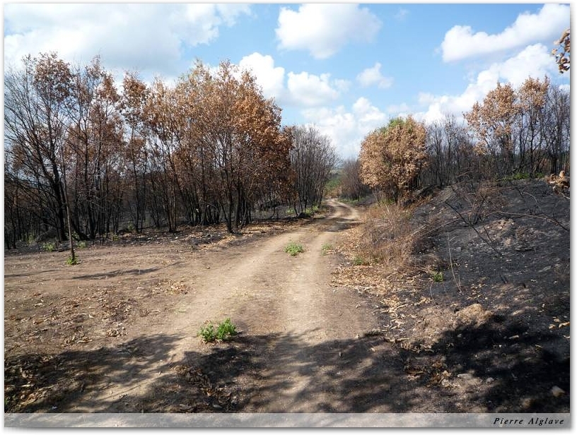 Zone incendiée